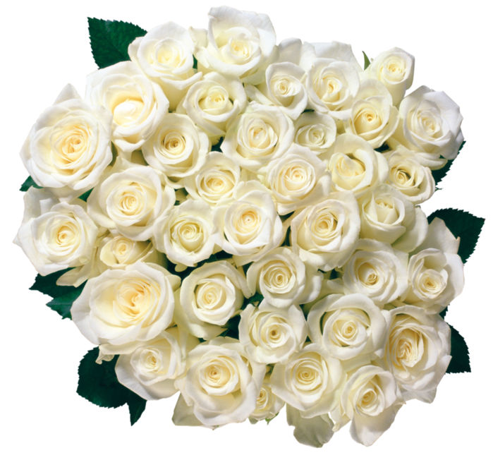 80988614_large_clipartmnogoroz (700x652, 615Kb)