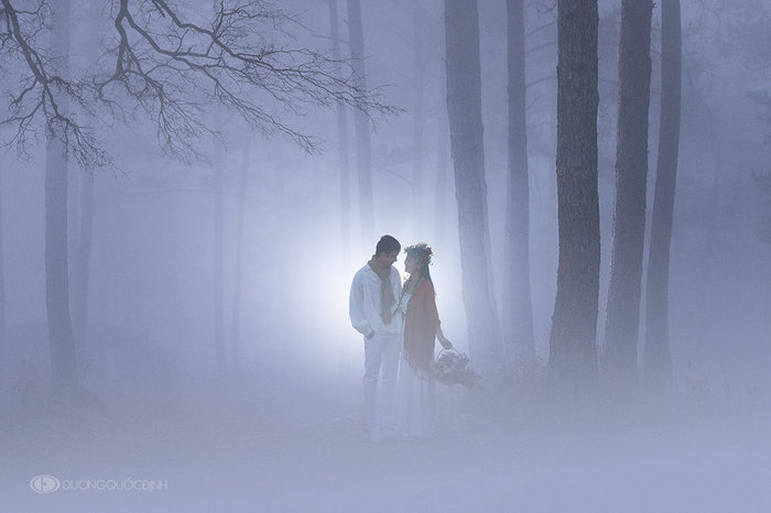 3779070_wedding_by_duongquocdinhd7901vj (700x466, 40Kb)