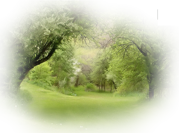 11218281 (600x446, 903Kb)