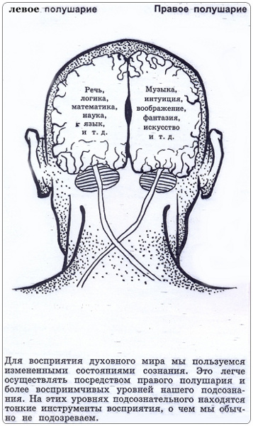 4315980_vospriyatie_dyhovnogo_mira_mozgom (357x600, 102Kb)