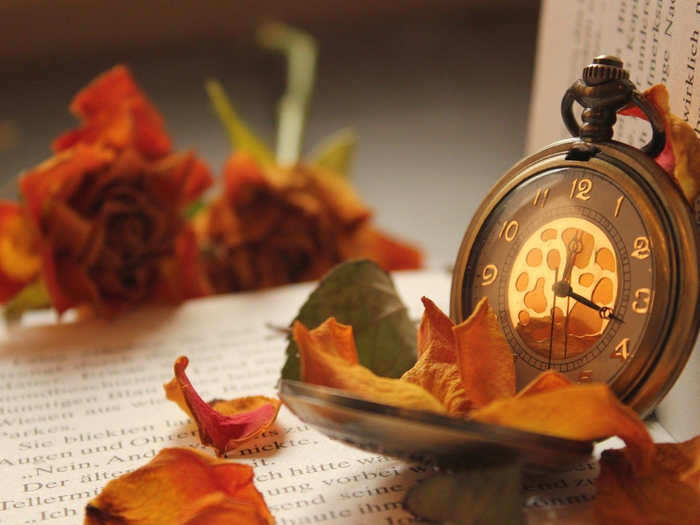 Book-Roses-Flowers-Watches-1920x2560 (700x525, 390Kb)