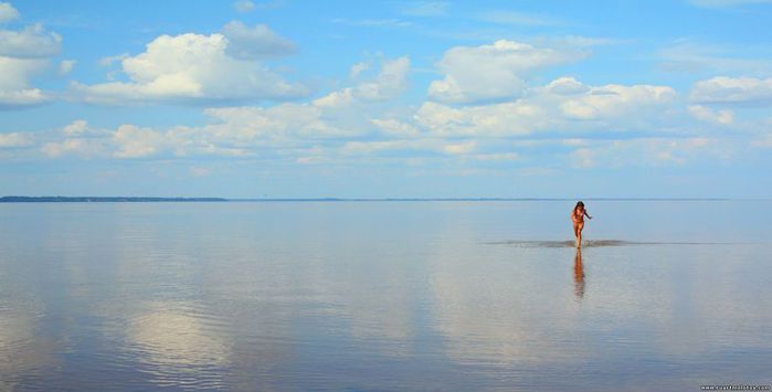 _MG_7743 (700x355, 22Kb)