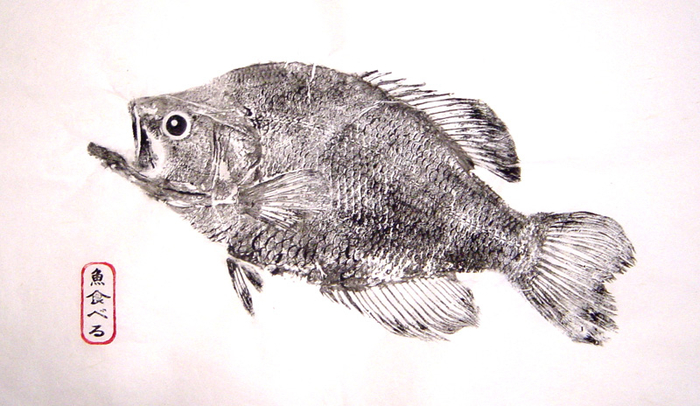 black-crappie-art-2 (700x406, 304Kb)