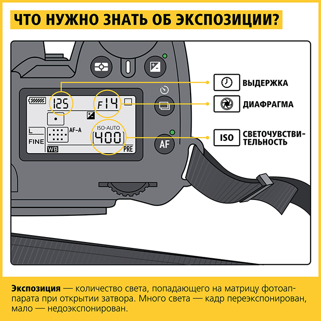3 (650x650, 341Kb)