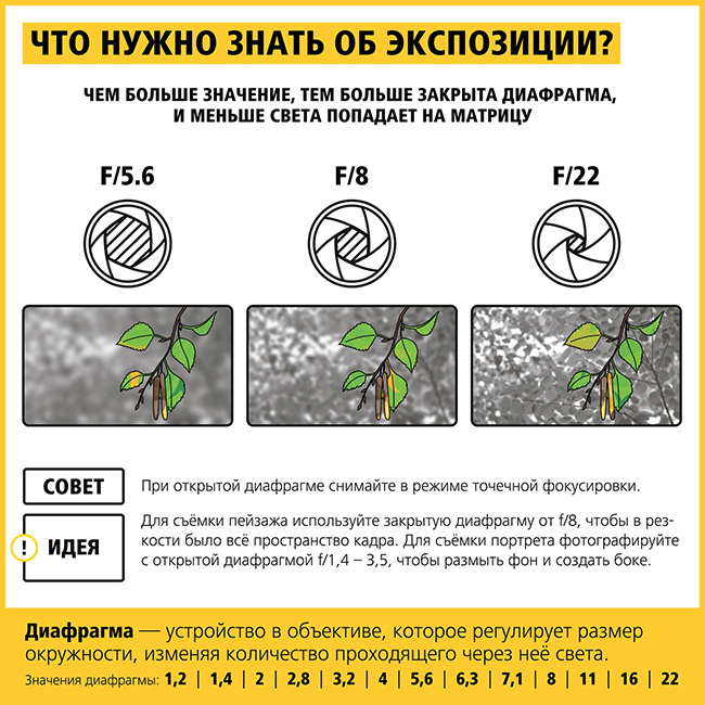 5 (650x650, 403Kb)