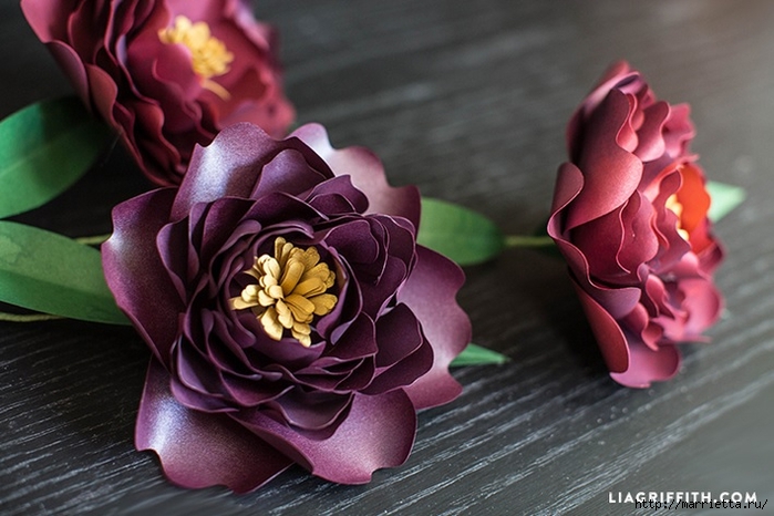 ПИОНЫ - цветы из декоративной металлизированной бумаги для скрапбукинга (3) (700x466, 230Kb)