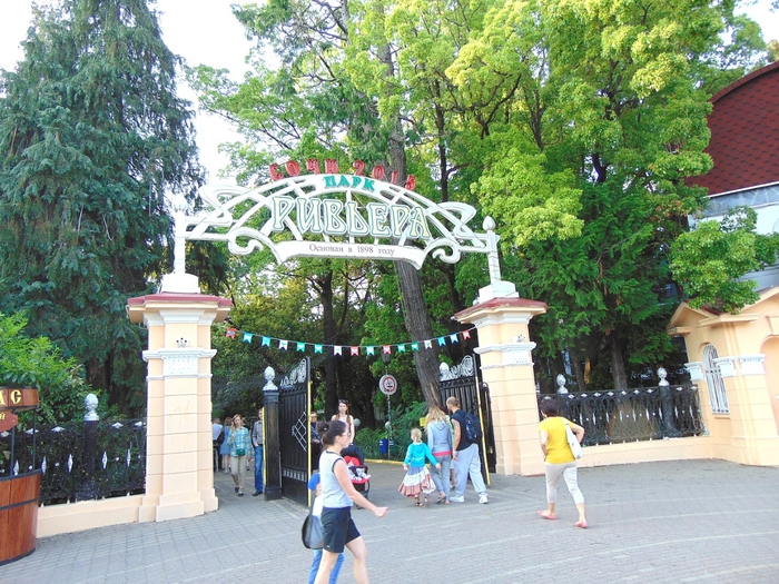 DSC00660 (700x525, 378Kb)