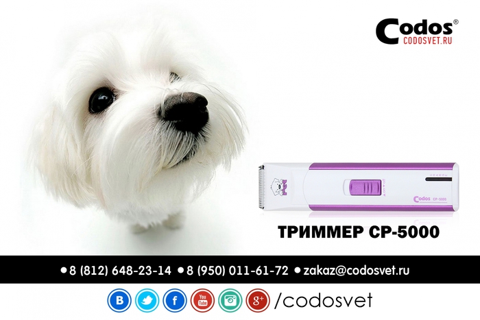   CODOS CP-5000/1302958_codos_ad_07 (700x467, 147Kb)
