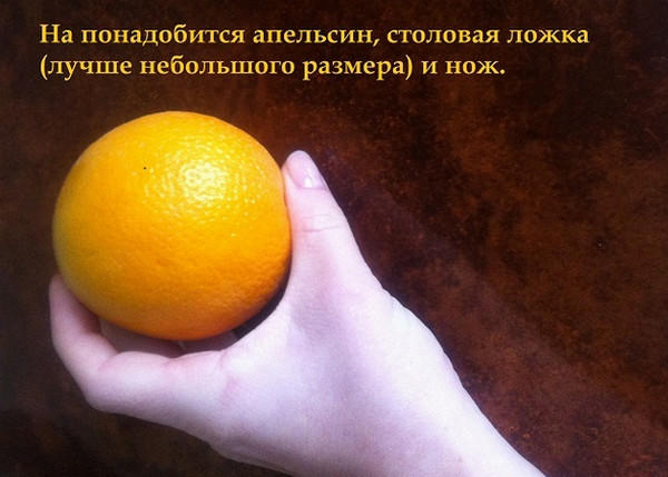 Как порезать апельсин на дольки. Смотреть фото Как порезать апельсин на дольки. Смотреть картинку Как порезать апельсин на дольки. Картинка про Как порезать апельсин на дольки. Фото Как порезать апельсин на дольки
