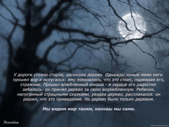 80948347_large_pritcha324 М