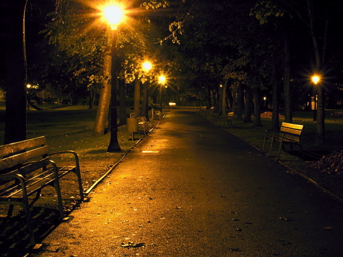 desktopwallpapers.org.ua-7130 (700x525, 186Kb)