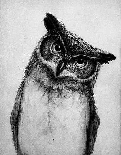 tumblr_ms5zk9Eod01qlpr19o1_400 (400x515, 101Kb)