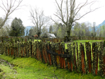 DSCN0454 (700x525, 480Kb)