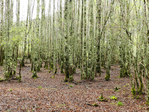  DSCN0455 (700x525, 621Kb)