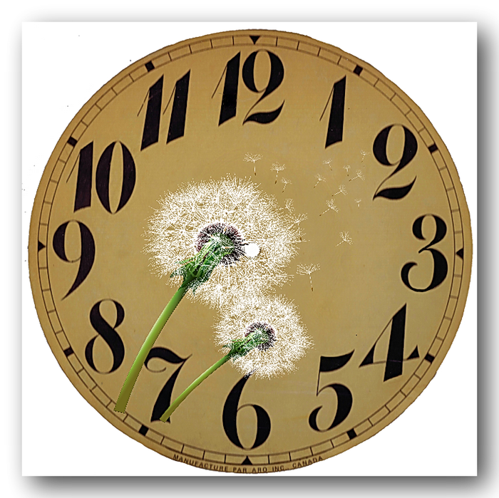 Clock Face via Knick of Time copy (700x699, 582Kb)