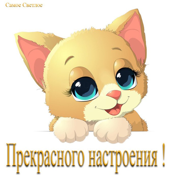 gekeNVIT82c (669x700, 57Kb)