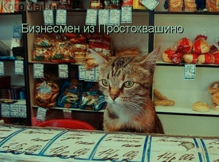 20151908115831 (700x518, 319Kb)