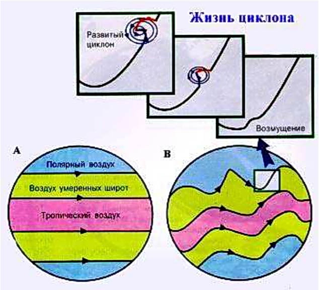 Континентально умеренная воздушная масса. Воздух умеренных широт. Континентальный воздух умеренных широт. Воздушные умеренные широты. Полярный воздух умеренный.