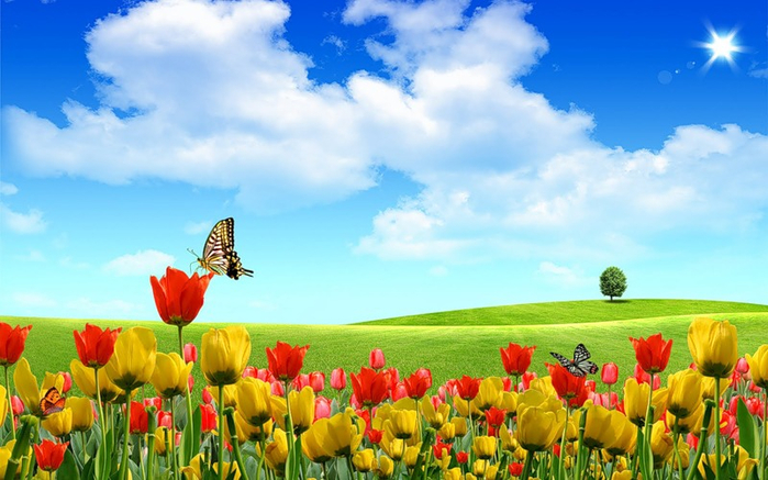 0_c5fbd_92b07a9f_XL (700x437, 347Kb)