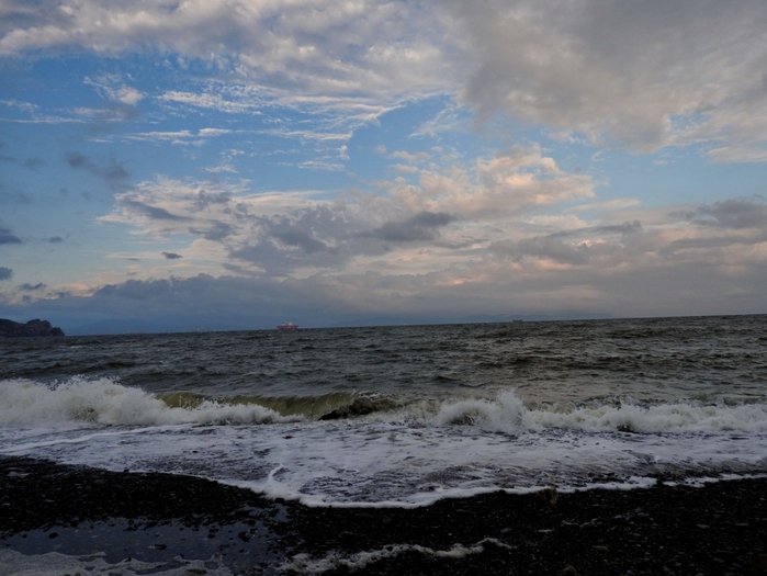 5559494_DSCN2196 (700x525, 246Kb)