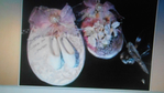  DSCN1084 (700x393, 216Kb)