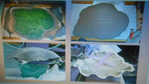  DSCN1046 (700x393, 352Kb)