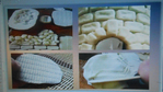  DSCN1062 (700x393, 370Kb)