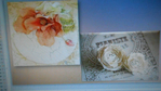  DSCN1071 (700x393, 366Kb)