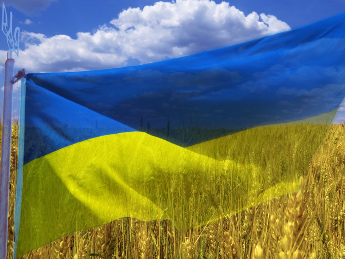 Флаг-Украины-1411026245 (700x527, 417Kb)
