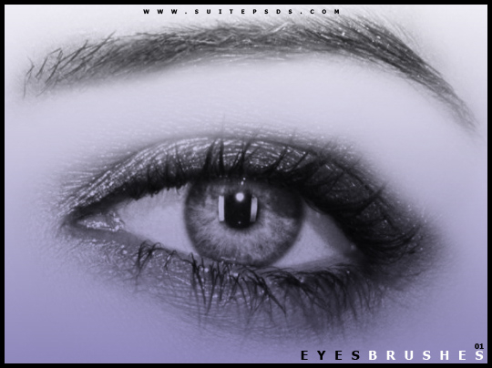 EyeBrushes01_by_SuitePSDs (540x404, 141Kb)