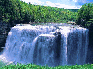 5745884_ (320x240, 323Kb)