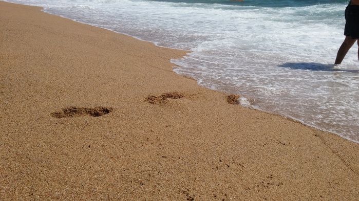 20150824_145947 (700x393, 173Kb)