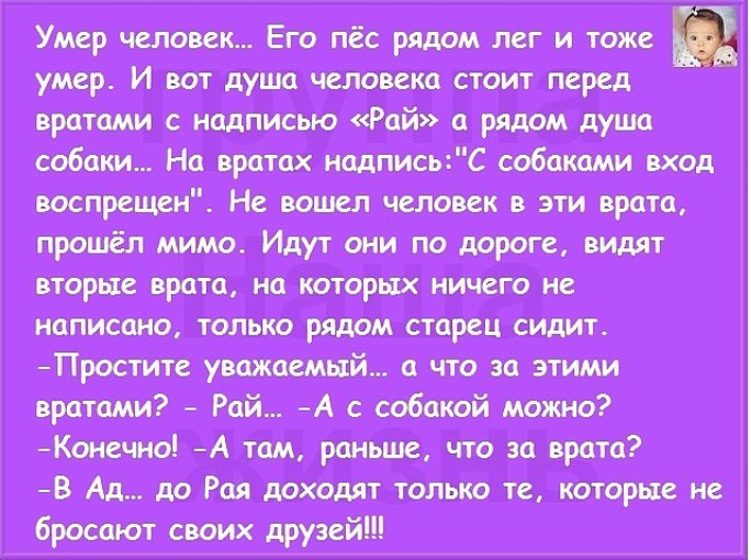   (684x510, 650Kb)