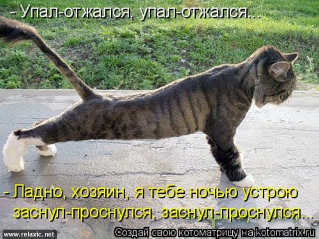 https://img0.liveinternet.ru/images/attach/c/6/124/652/124652792_kotomatrix_00131.jpg