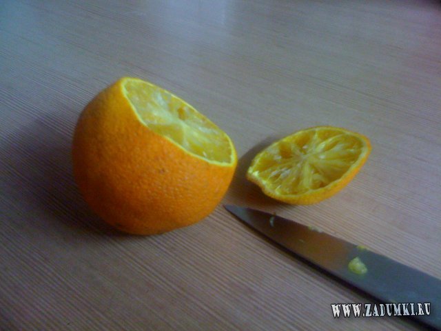 1299592004_mandarina-02 (640x480, 44Kb)