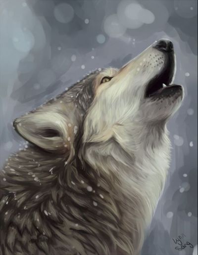 z_b14c4e1c (400x516, 27Kb)