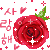 6 (50x50, 8Kb)