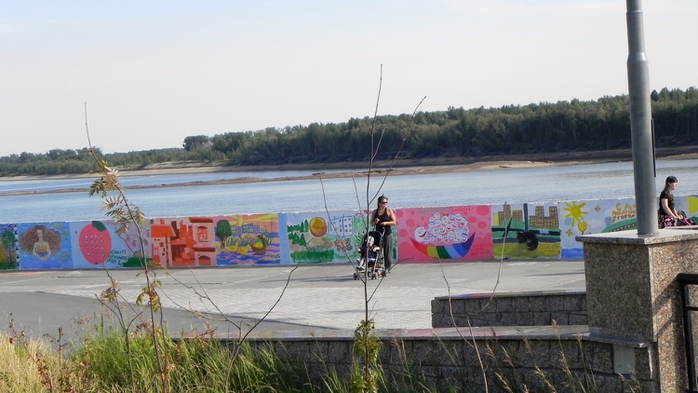 DSCN6740 (700x393, 210Kb)