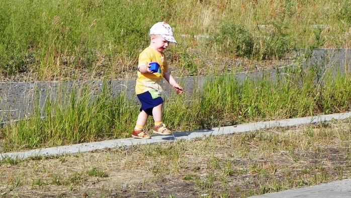 DSCN6746 (700x393, 290Kb)