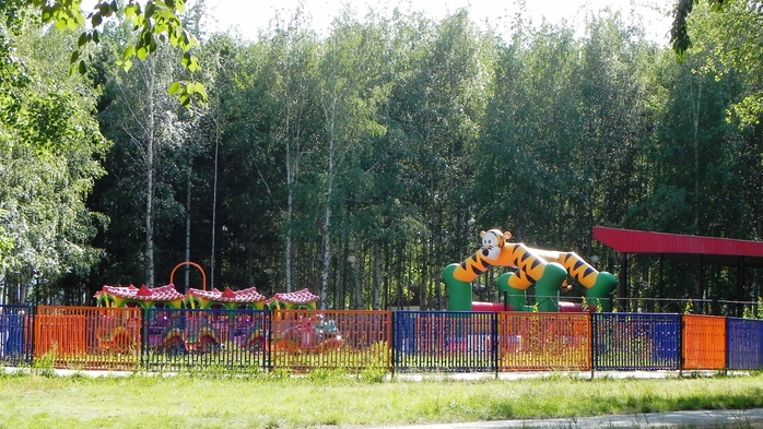 DSCN6710 (700x393, 288Kb)