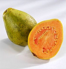 guava (220x228, 12Kb)