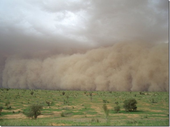 Simoomorduststorm_3_www.funnypagenet.com_ (584x439, 49Kb)