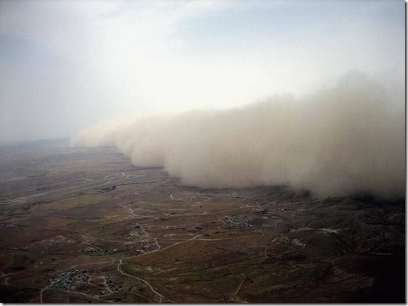 Simoomorduststorm_6_www.funnypagenet.com_ (584x439, 58Kb)