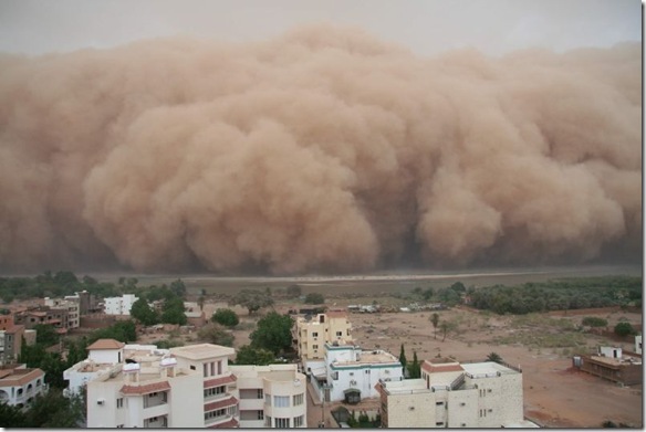 Simoomorduststorm_10_www.funnypagenet.com_ (584x391, 51Kb)