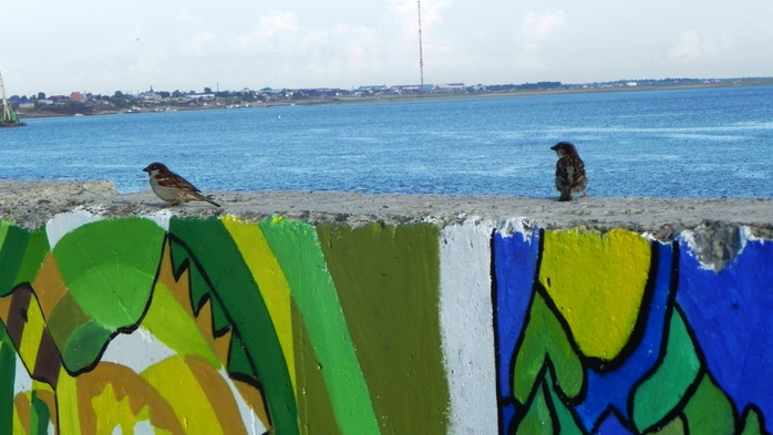 DSCN6786 (700x393, 207Kb)
