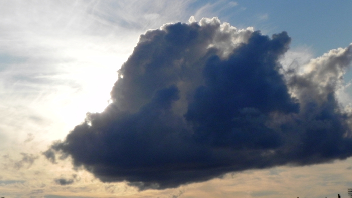 DSCN6802 (700x393, 139Kb)