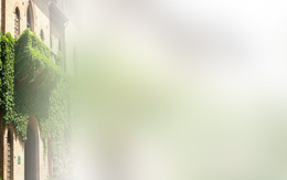 - (260x163, 8Kb)