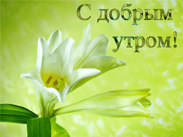 929206966 (640x480, 251Kb)