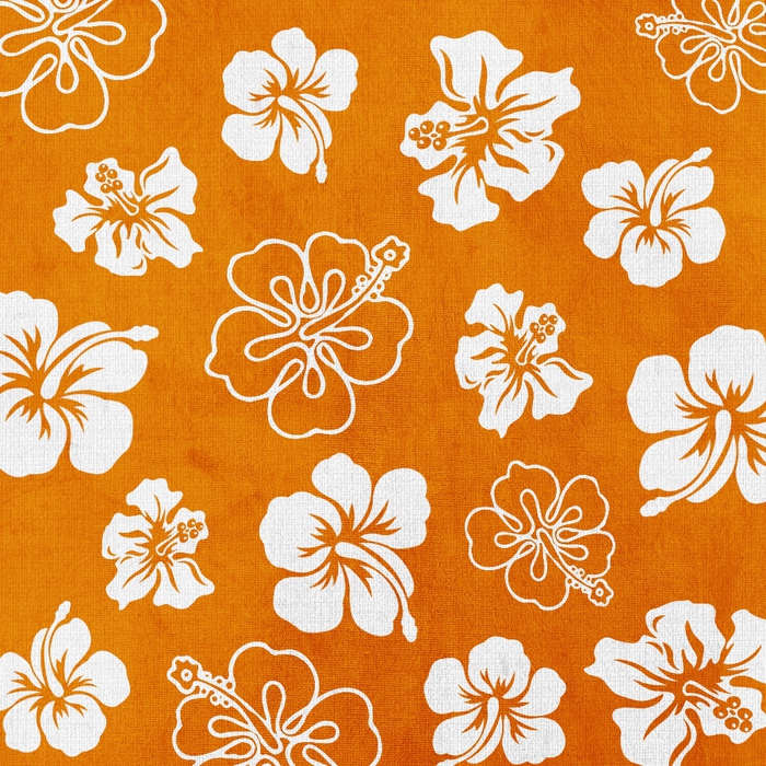 SummerDriggs_FlipFlopsicles_OrangeFlowerPaper (700x700, 512Kb)