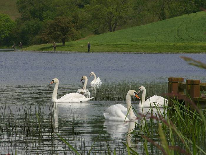 4610040_ireland_240_bg_062102 (700x525, 68Kb)
